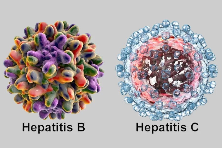 Hepatitis B & C